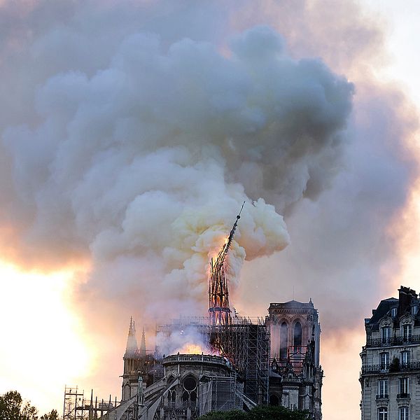 Brinnande katedralen Notre-Dame i Paris med ett stort rökmoln ovanför.