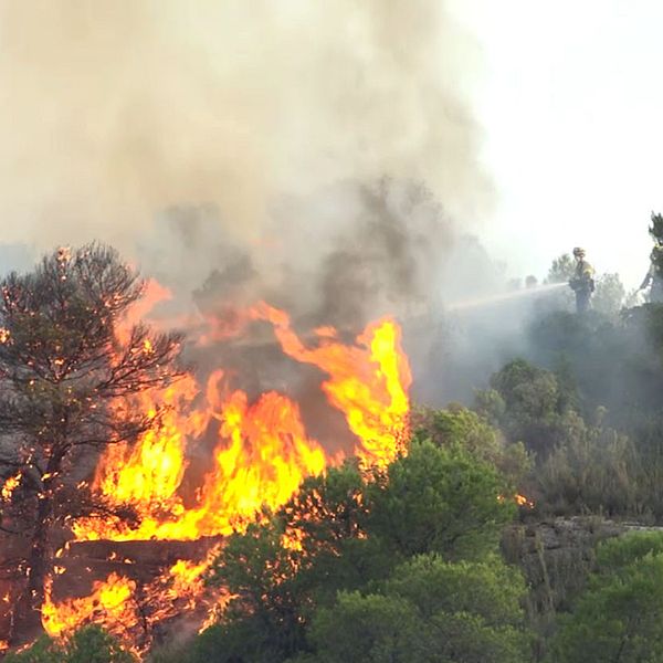 Skog som står i lågor i Torre del Espanol i nordöstra Katalonien, Spanien.