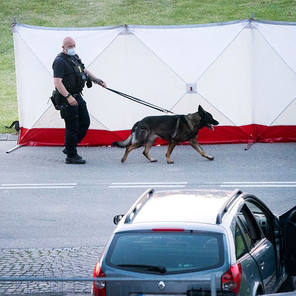 Polis och kriminaltekniker på plats efter att två människor skjutits ihjäl i en svenskregistrerad bil i Köpenhamnsförorten Herlev på tisdagskvällen – på torsdage meddelade polisen att de båda männen är identifierade