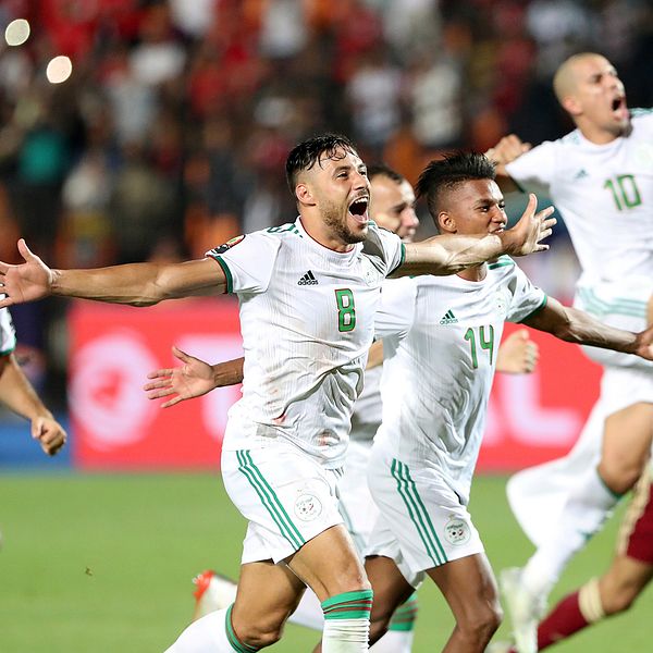 Algeriet jublar efter segern i Afrikanska Mästerskapen.