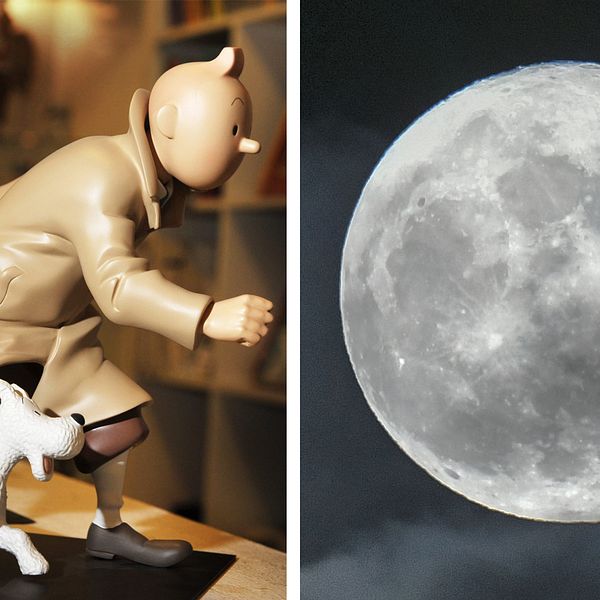 Till vänster: Tintin och Milou. Till höger: supermåne i Malmö 2018.