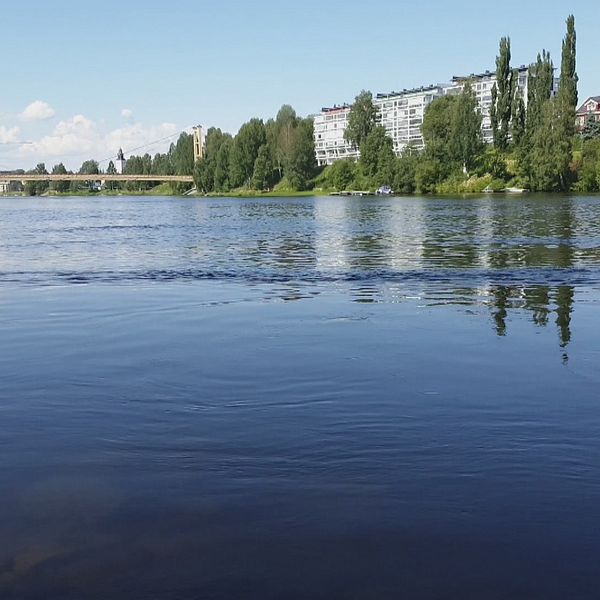 Skellefte älv, Skellefteälven
