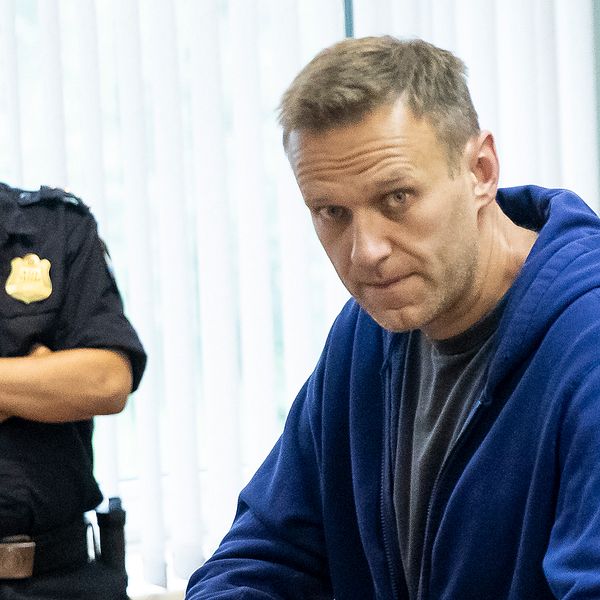 Aleksej Navalnyj i rätten. Arkivbild.