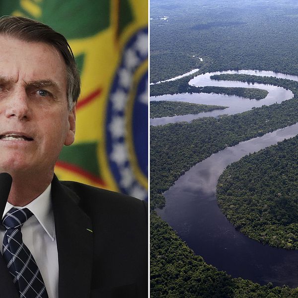 Bolsonaro och Amazonas