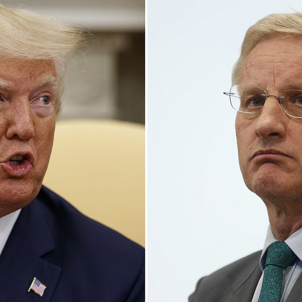 USA:s president Donald Trump och Sveriges tidigare statsminister och utrikesminister Carl Bildt.