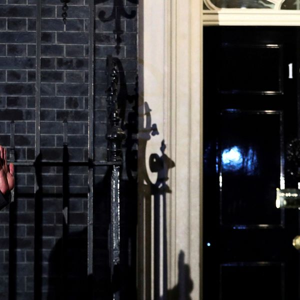 Jo Johnson, Boris Johnsons bror, utanför 10 Downing Street.