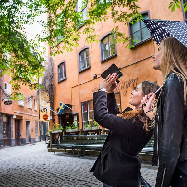 Två unga turister fotograferar en stor kastanj på Brända tomten i Gamla stan i Stockholm. Arkivbild.