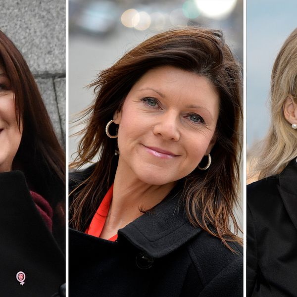 Ann Linde (S), Eva Nordmark (S) och Anna Hallberg presenterades som nya ministrar under riksdagsårets formella öppnande på tisdagen.