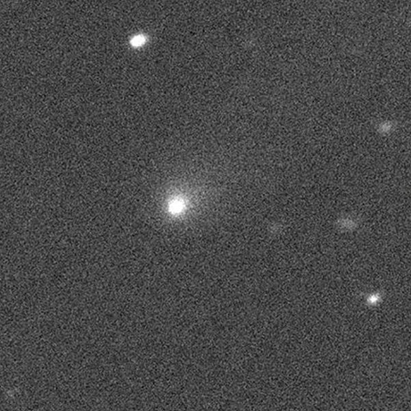 Kometen ”C/2019 Q4” har setts till i närheten av Mars genom Kanada-Frankrike-Hawaii-teleskopet på Hawaii nyligen.