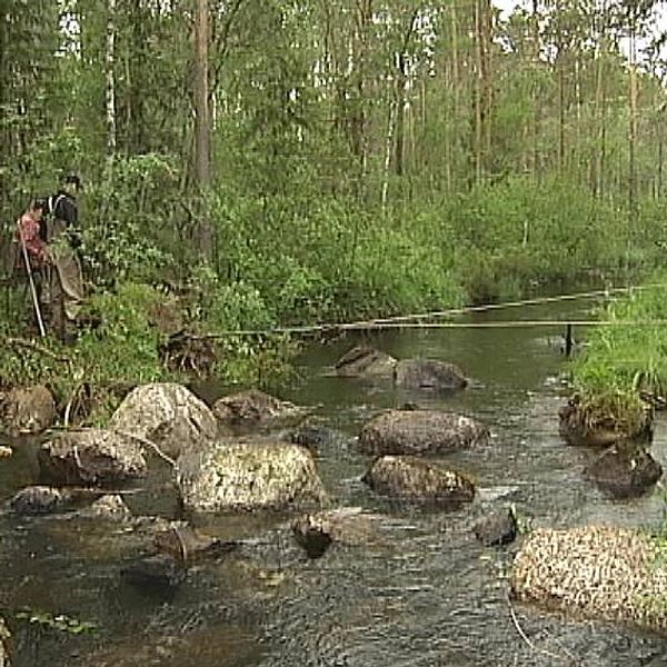 Stenar tas bort i ett vattendrag i Jämtland