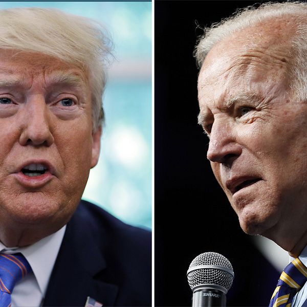 Donald Trump, Joe Biden