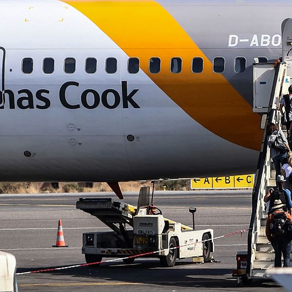 Även det tyska dotterbolaget till flygjätten Thomas Cook har begärts i konkurs, enligt tyska medier.