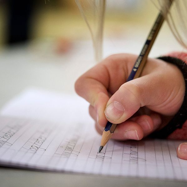 En elev på en skola som kommer att påverkas om det nya förslag om kursplaner från Skolverket går i genom i vår.