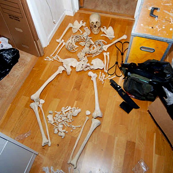 Skelettdelar på golv, polisens bilder.