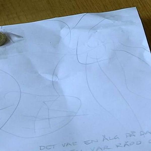 Förskolebarnens teckningar av älgen.