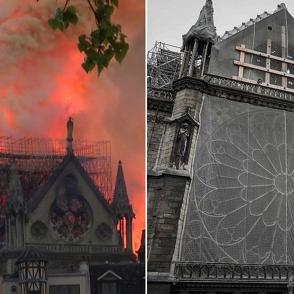 För sex månader sen brann Notre-Dame, så här går arbetet med att återställa katedralen.