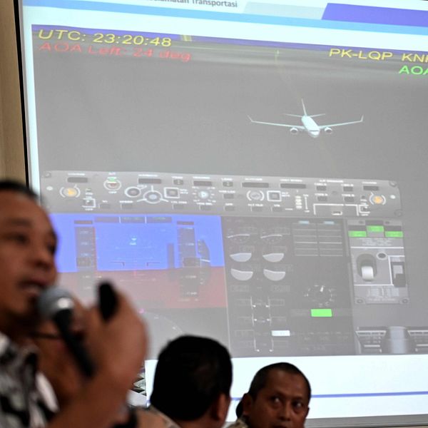 Olyckan med ett Boeing 737 Max-8 plan utanför Jakarta förra hösten utlöstes av en kedjereaktion, enligt indonesiska utredaren Nurcahyo Utomo.