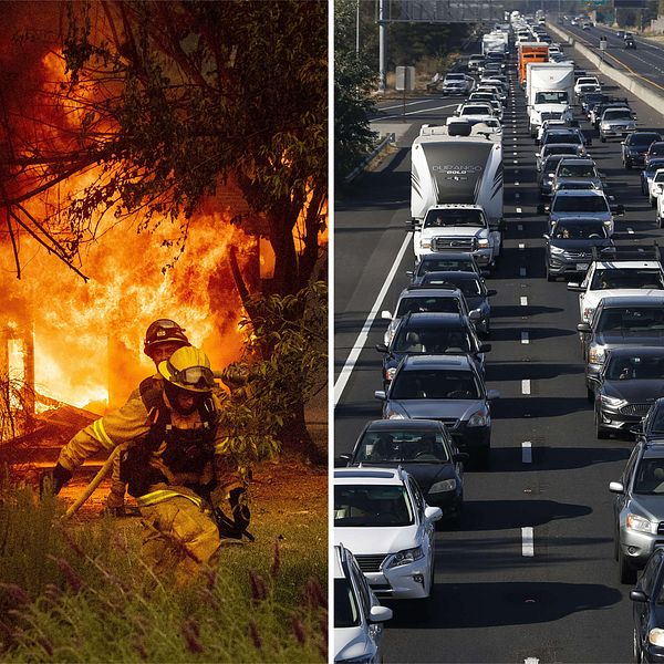 Till vänster: Stor brand i en byggnad i vildmarken med två brandmän i förgrunden. Till höger: bilköer på motorväg när folk evakuerar.