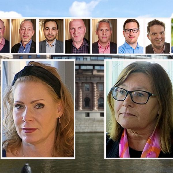 Montage. Bilder av värmländska riksdagsledamöter framför Rosenbad.