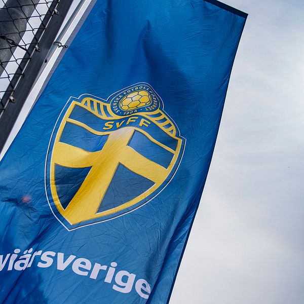 FIFA dömer svenska fotbollsförbundet till böter på en miljon kronor.