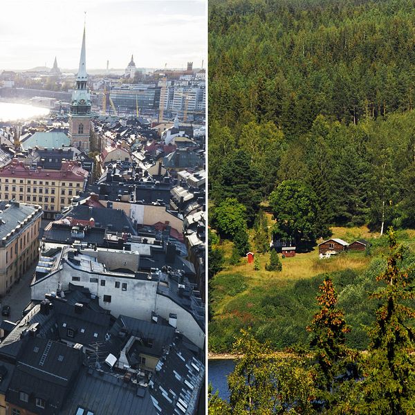 Bild på Stockholm samt bild på hus i en skogsmiljö. Menat att representera de skillnader som finns mellan landsbygd och stad när det gäller vilka kommuninvånare det är som gynnats mest av de senaste årens skattesänkningar.