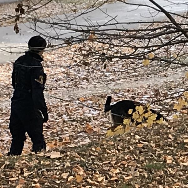 polisman med hund utomhus