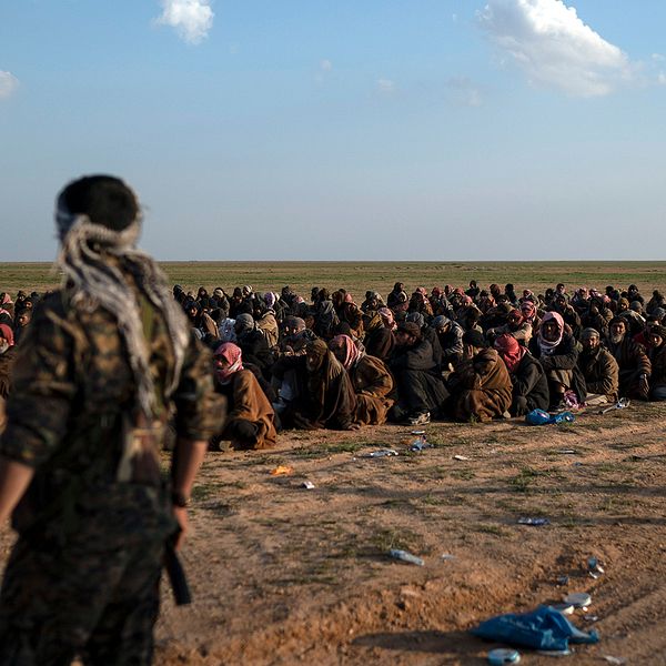 Bild på tillgångatagna män från IS sista fäste i Baghouz i östra Syrien.