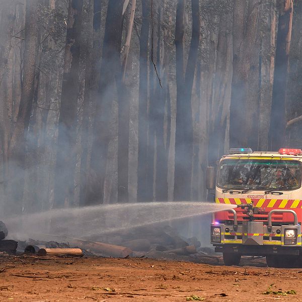 Brandbil som bekämpar skogsbränderna i Australien
