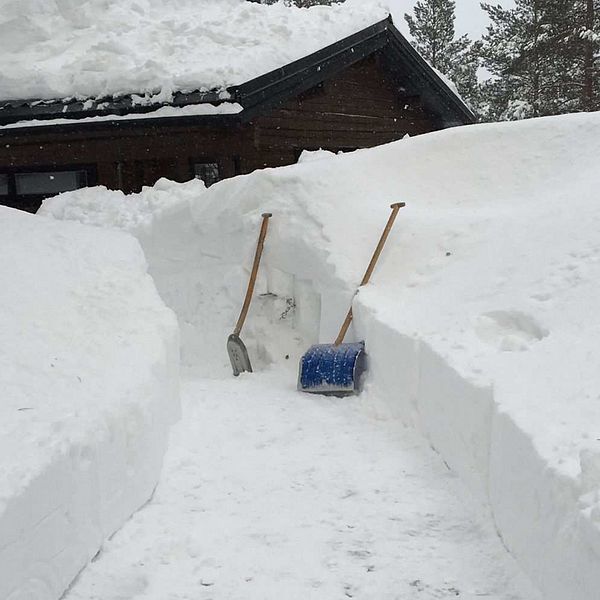 Gångvägen till kvinnans hus, här skottad dagen efter hennes död