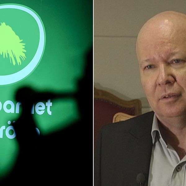 Stefan Nilsson, tidigare riksdagsledamot för Miljöpartiet.