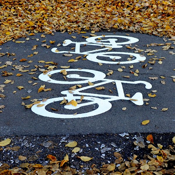 Bild på cykelväg täckt med höstlöv