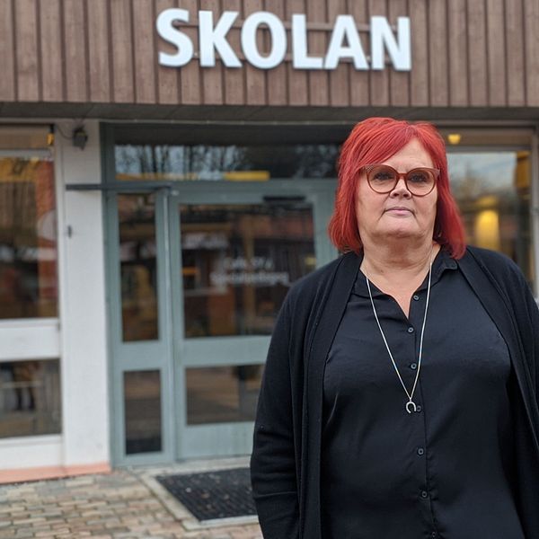 Lotta Kajving, Skolkurator och sexrådgivare