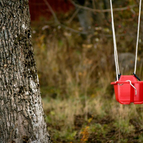 Anmälningarna om barn som misstänks fara illa blir allt fler, enligt kommunerna.