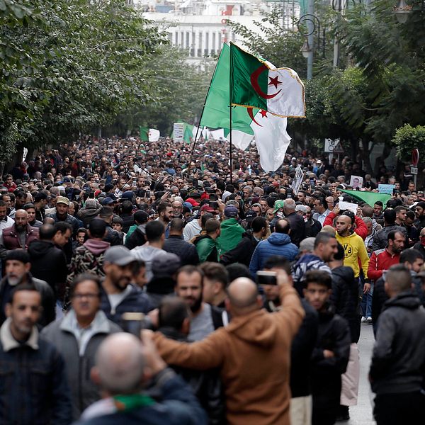 Demonstranter i Alger