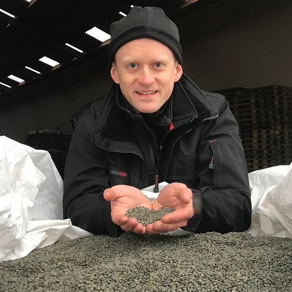 Philip Hedeng är den enda lantbrukaren från Halland som deltar i Lantbruksuniversitetets forskningsprojekt med att odla linser. Resultatet av skörden har visat sig vara positivt.