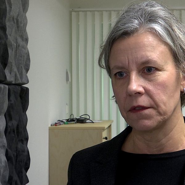 en kvinna med grått hår iklädd kavaj intervjuas av SVT:s reporter