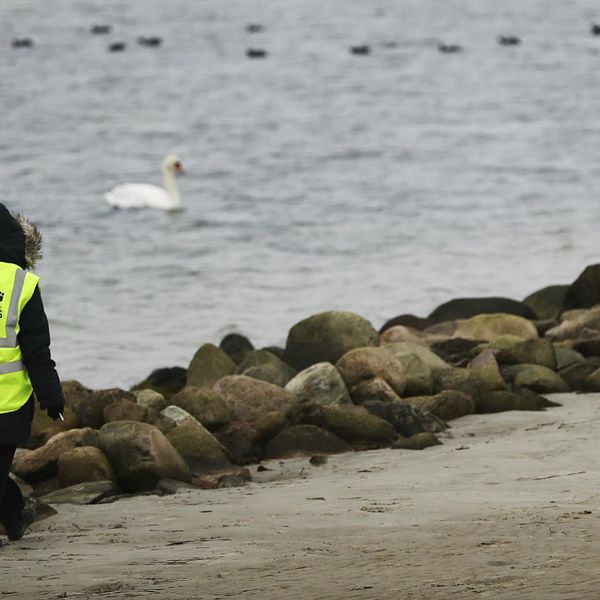 Frivillig från FIKK i gul väst vandrar längs strand