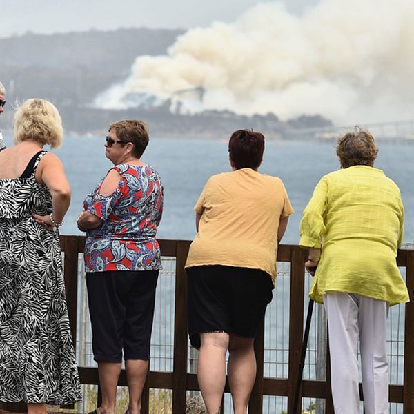 Vid staden Eden i delstaten New South Wales pågår en brand i en flisfabrik.