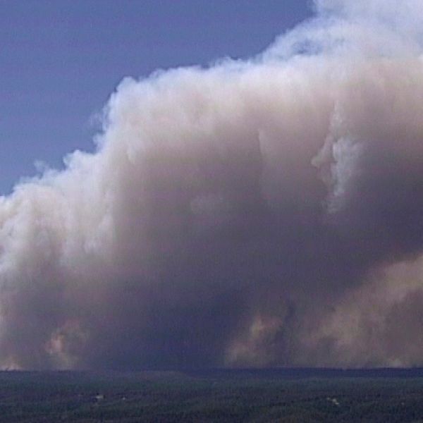 Branden, som tillsammans med närliggande bränder, haft en yta stor på 800 000 hektar, ska nu vara under kontroll.