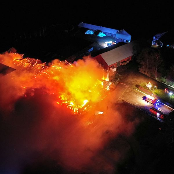brand naturbruksgymnasiet vreta linköping