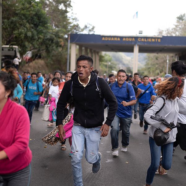 Omkring 3 000 migranter har den senaste veckan gått från Honduras till gränsen mot Mexiko.