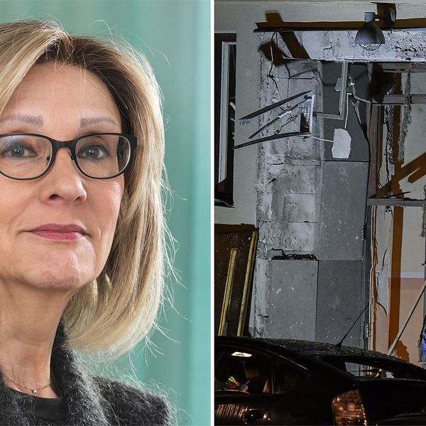 Marianne Kristiansson, professor i rättspsykiatri vid Karolinska institutet, och en bild från sprängningen på Östermalm.