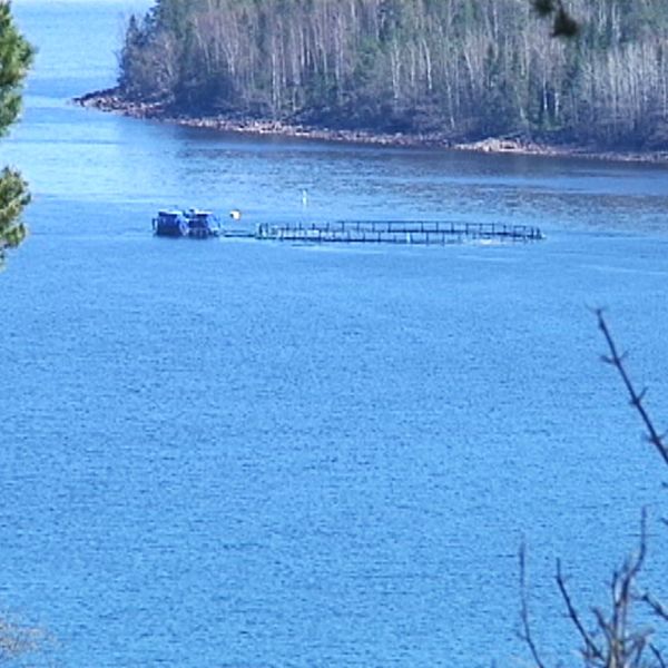 Vy från berg ner mot Mjältösundet där det finns en rund odlingskasse för fisk.