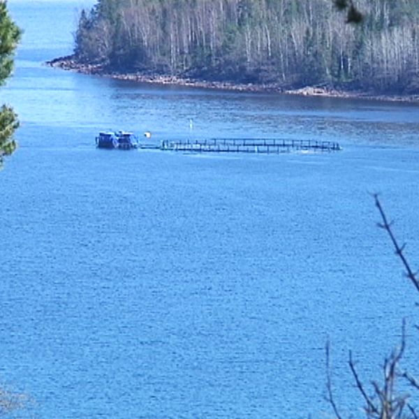 Vy från berg ner mot Mjältösundet där det finns en rund odlingskasse för fisk.