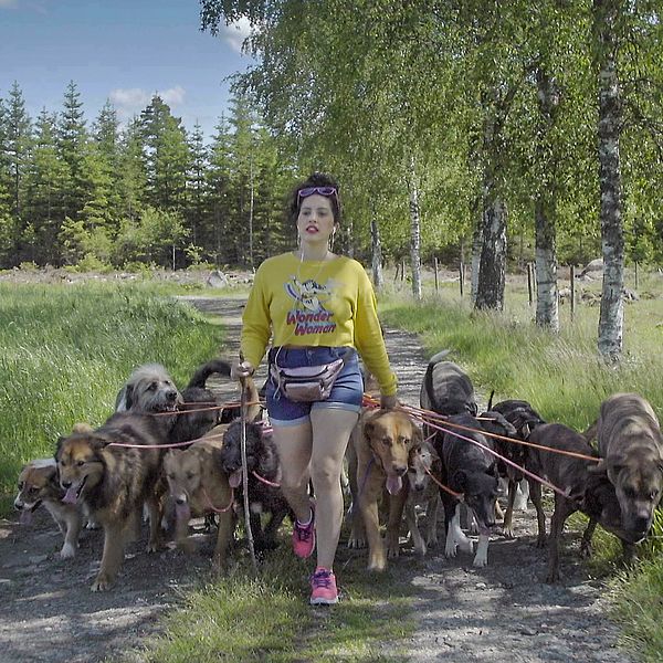 Alexandra Ortega har 30 egna hundar. Bild på när hon är ute och går med hundarna.