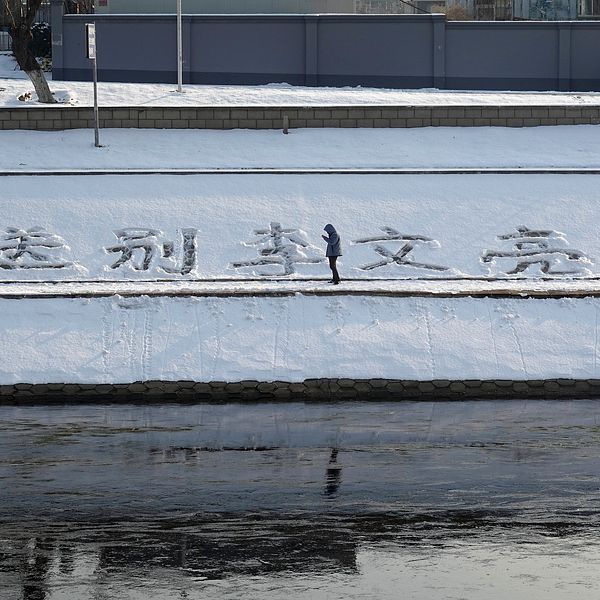 En person har skrivt ”farväl Li Wenliang” i snön, en blid som under fredagen cirkulerat på kinesiska chattforumet WeChat, enligt BBC.