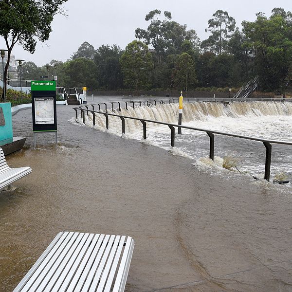 Parramattafolden i Syndey har svämmat över efter de massiva regnen