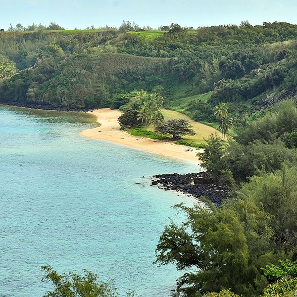 En strand på Hawaii