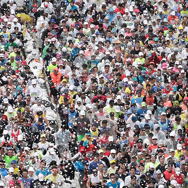 I fjol sprang runt 38 000 löpare Tokyo Marathon. I år blir det betydligt färre.