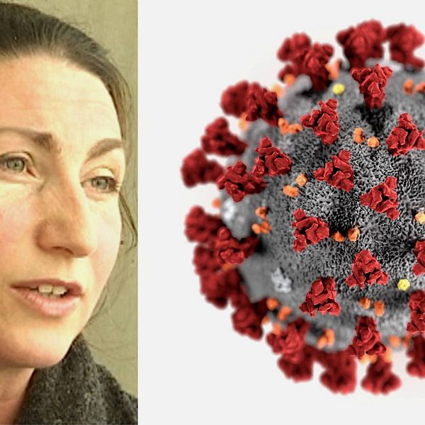 Bild på kvinna och mikroskopbild på coronaviruset, en grå boll med röda utväxter.
